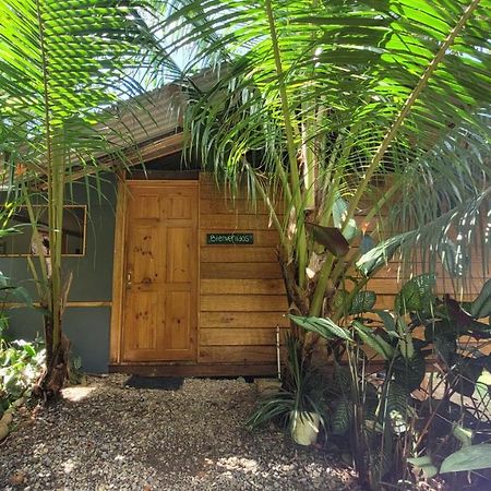 Private Jungle “Loft Del Rio” River Access Uvita Eksteriør bilde