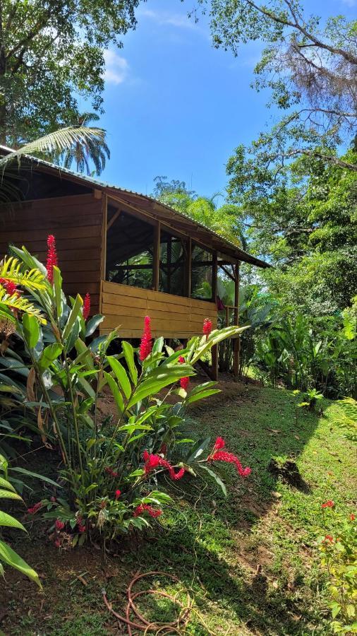 Private Jungle “Loft Del Rio” River Access Uvita Eksteriør bilde