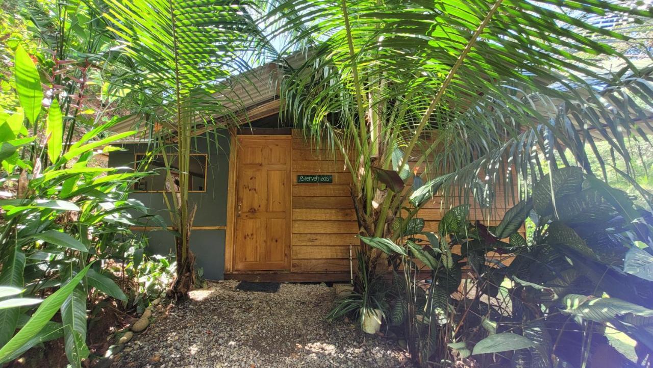 Private Jungle “Loft Del Rio” River Access Uvita Eksteriør bilde