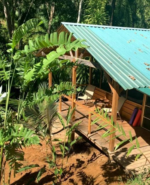 Private Jungle “Loft Del Rio” River Access Uvita Eksteriør bilde