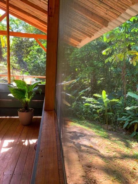 Private Jungle “Loft Del Rio” River Access Uvita Eksteriør bilde